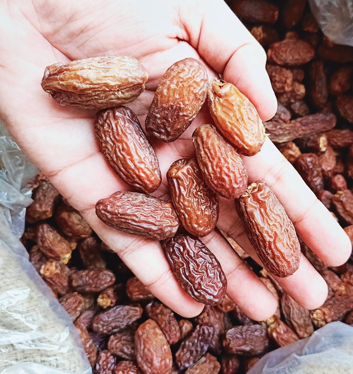 big-red-dates-stock-photo-image-of-agricultural-color-40230350